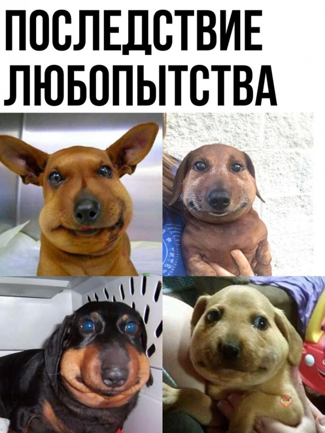 Так себе картинки 25.07.22