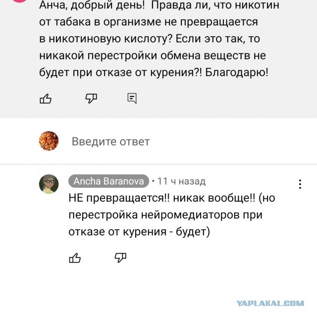 Пандемия съехавших крыш - разновидности болезни. Россия и мир. Часть 40.