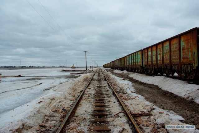 Вот в чем вся соль!