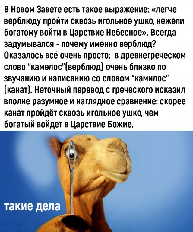 Так себе картинки 23.09.22