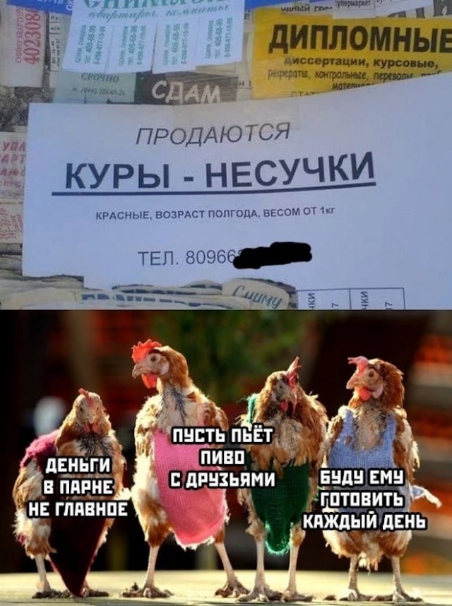 Картинки и мемы для настроения - 123