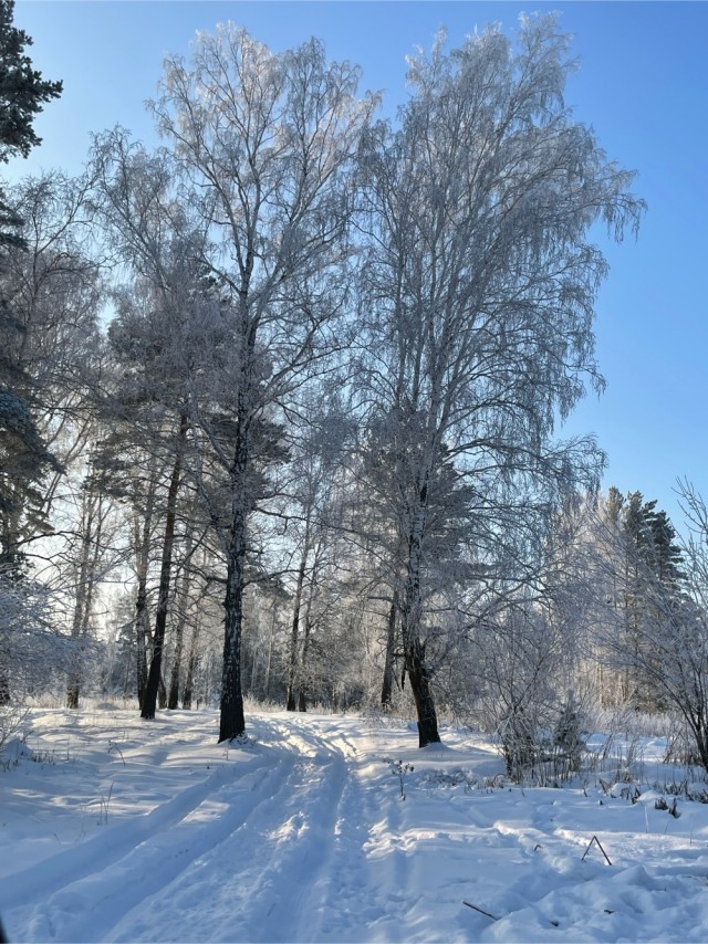 Одно зимнее фото