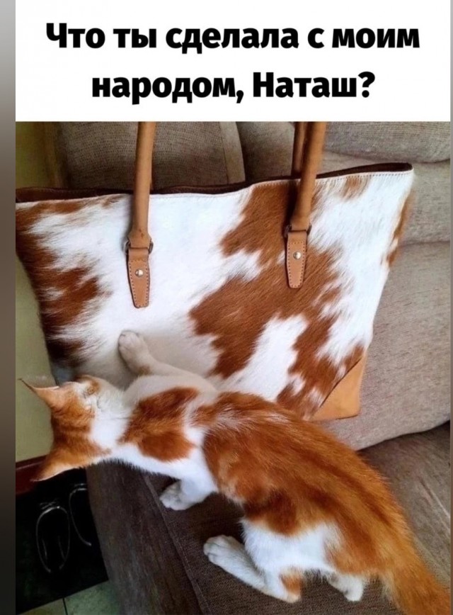 О жизни семейной, которая нужна не мне.