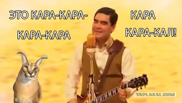 "Ушастик"