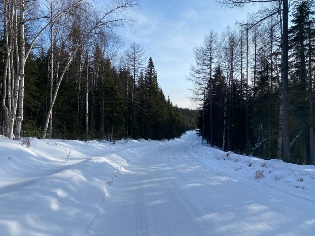 Праздники