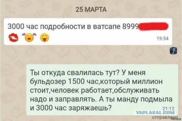 Против очередной блогерши возбудили уголовное дело
