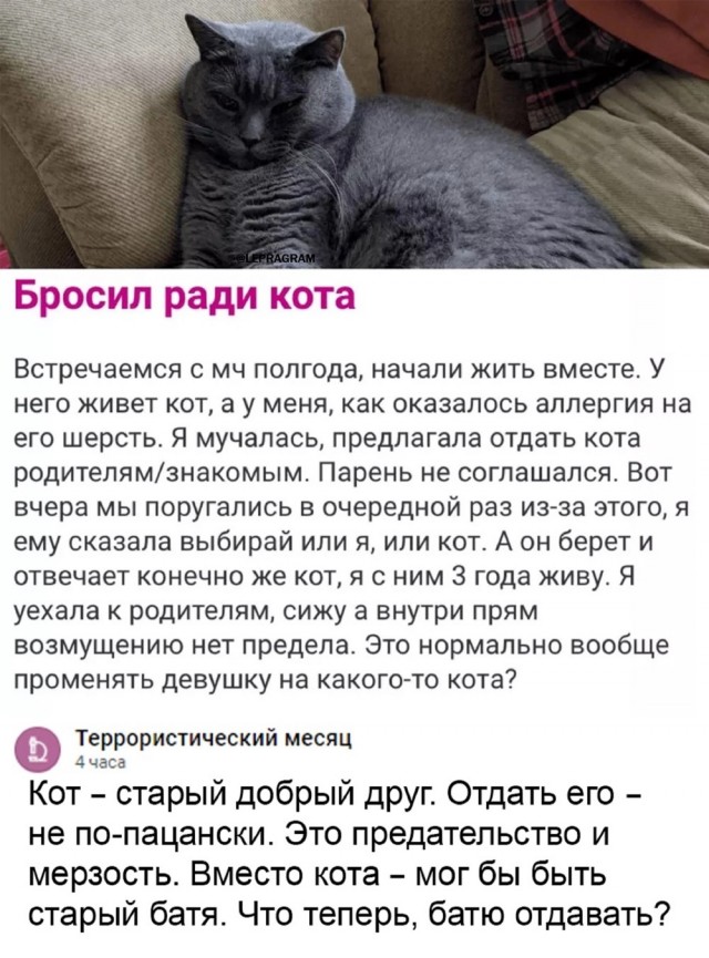 Так себе картинки 26.03.23