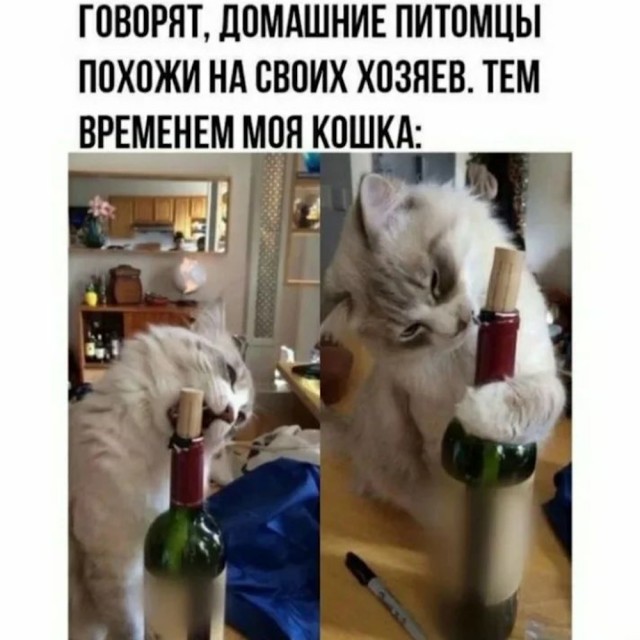 Картинки и мемы, всяко разно - 181