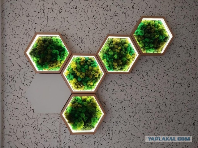 DIY полочки соты