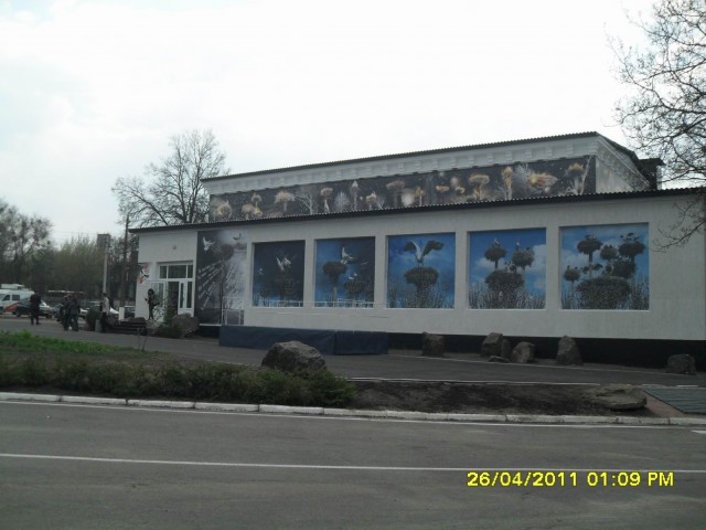 Чернобыль 2011