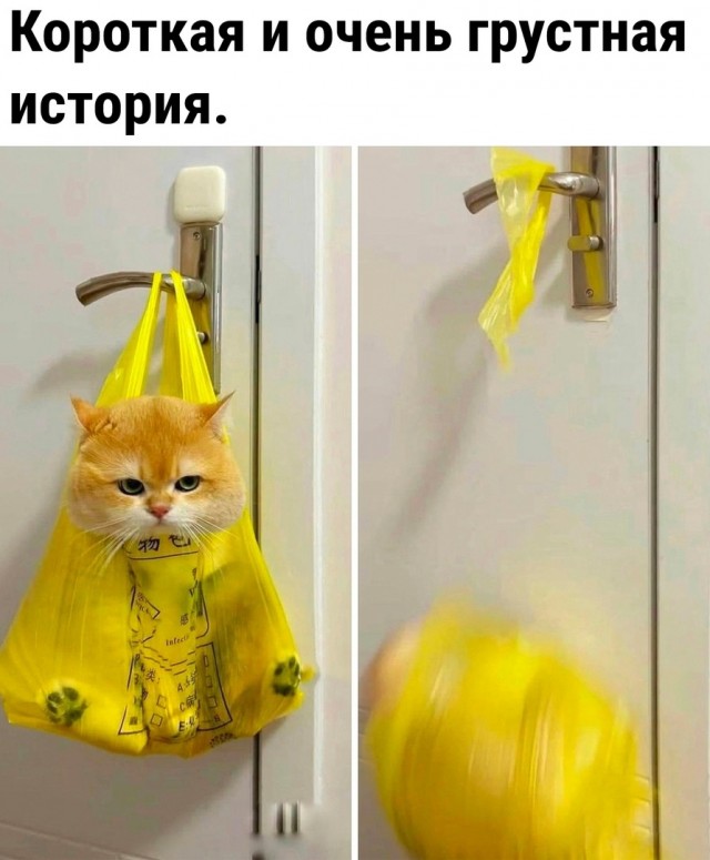 Так себе картинки 31.12.23