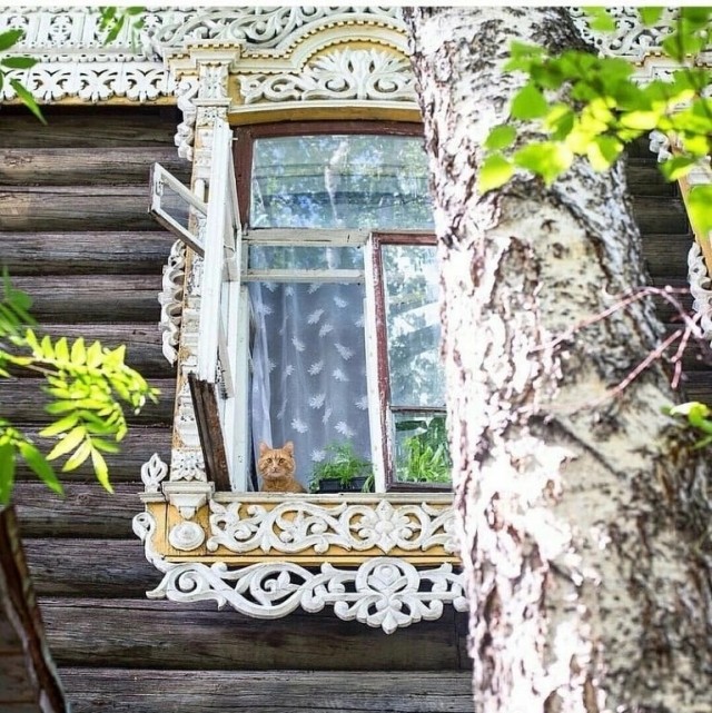 На недельку подальше от всех...