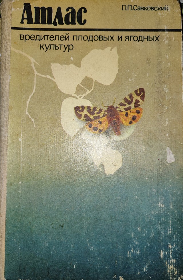 В копилочку фобий: клубника.