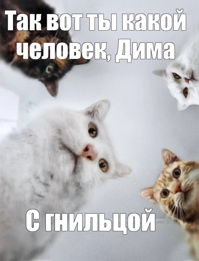 И даже не подавился, сука