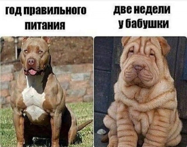 Завалялось тут случайно немного забавных картинок