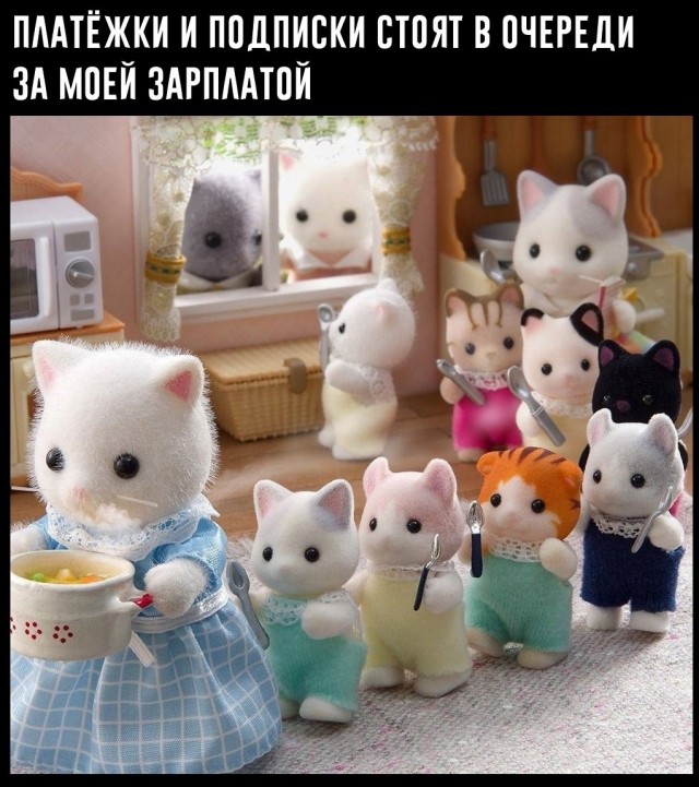 Так себе картинки 28.02.25