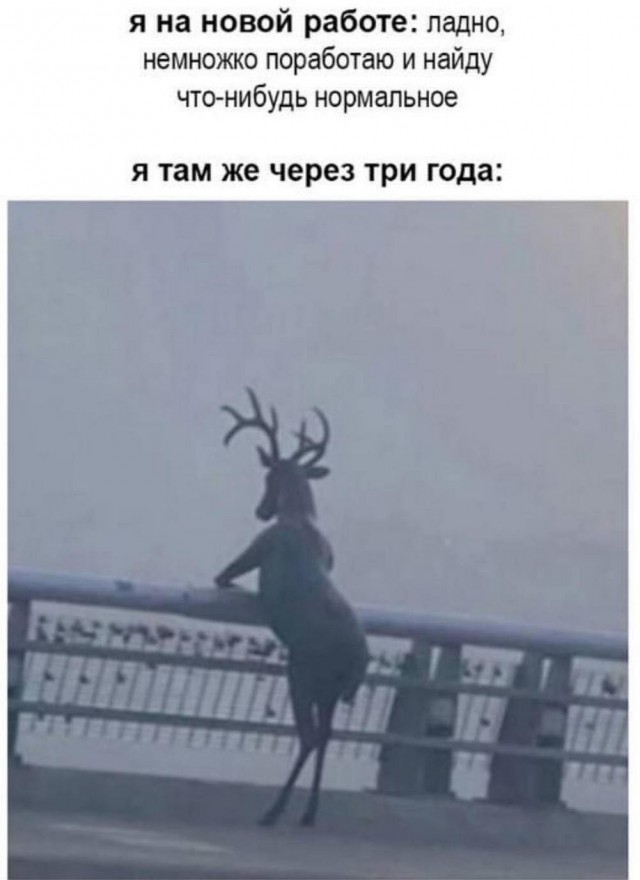 Сегодня четверг