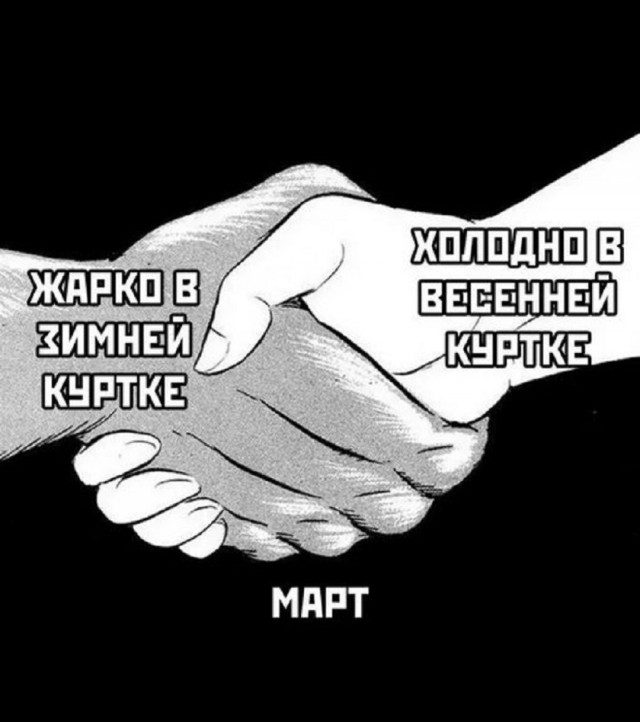 Так себе картинки 24.03.25