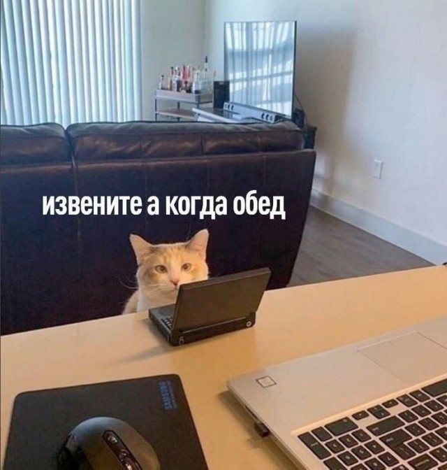Россияне массово мечтают уволиться с работы и думают об этом постоянно, — опрос