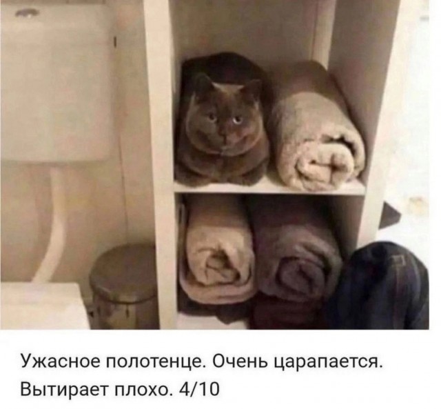 ТРРРидцать тРРРи от 26 мая
