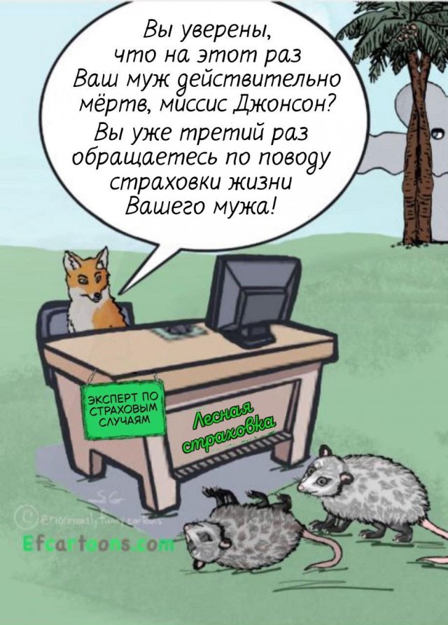 Так себе картинки 02.09.25