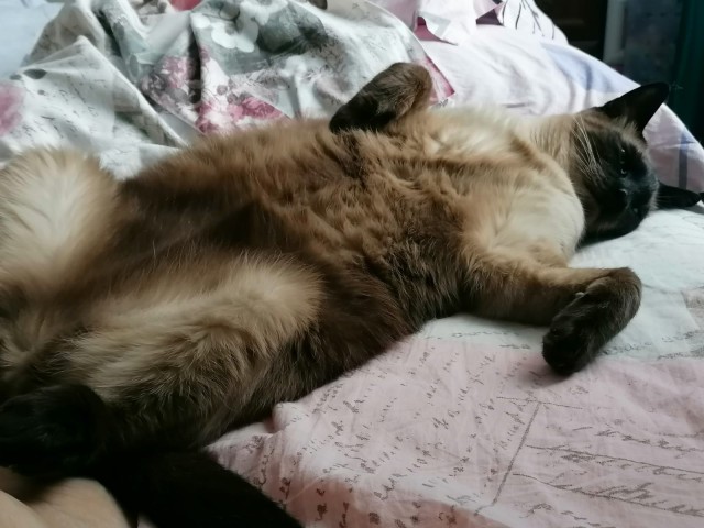 Прыг