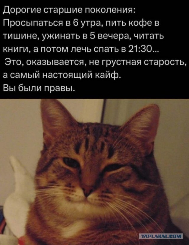 Картинки для деградации 39 (разной степени свежести)