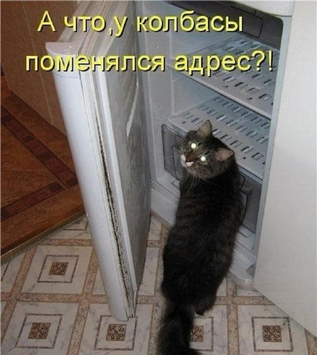 Так себе картинки 09.10.25