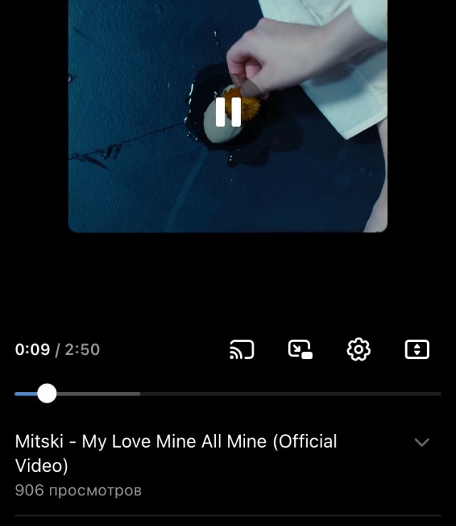 Кошачьи нежности