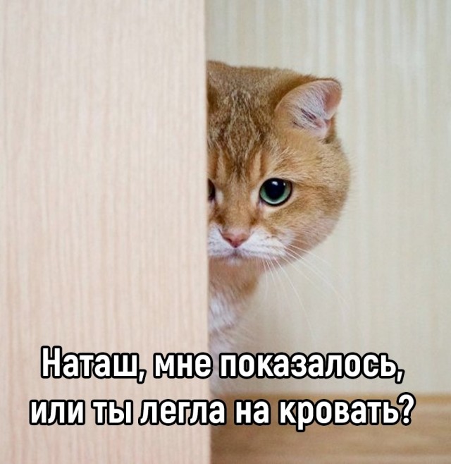 Так себе картинки 30.10.25