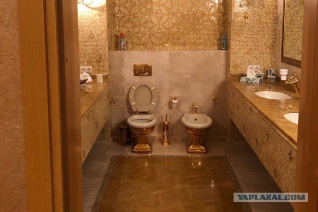 Дональд Трамп-младший был ошеломлен невиданным «финансовым чудом», когда увидел, что в Монако все люксовые авто щеголяли украинс