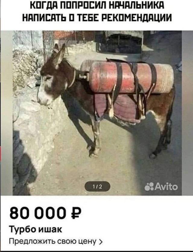 Воскресные картинки