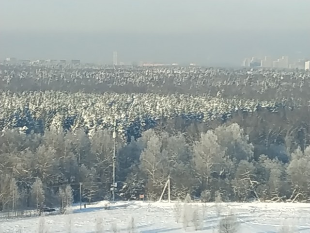 А из нашего окошка, видно белого немножко...
