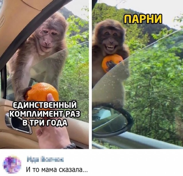 Я тоже люблю мужчинам делать комплименты