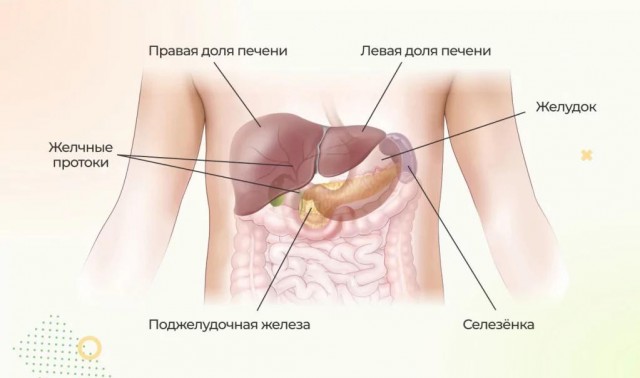Перепутал органы: ошибка хирурга стоила жизни пожилому пациенту