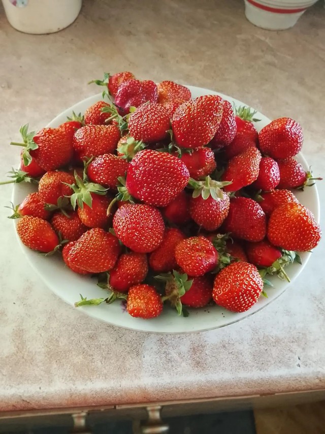 Кулубника..