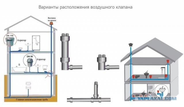 А есть физики на ЯПе?