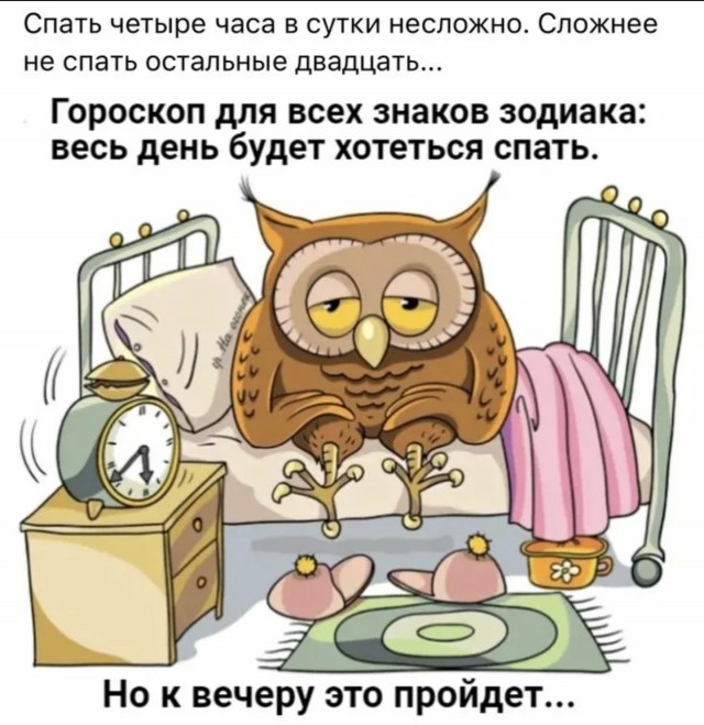 Зря вы сейчас не спите, утром вам это не понравится