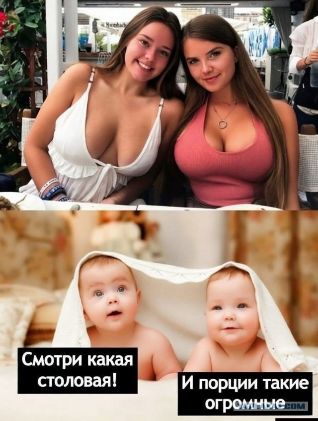 "Какая-то сраная сова придумала вставать с утра на работу"