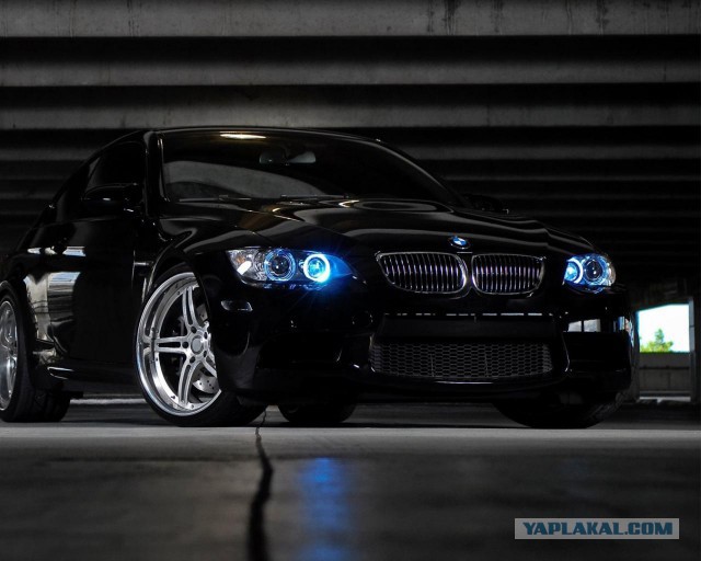 Черный волк