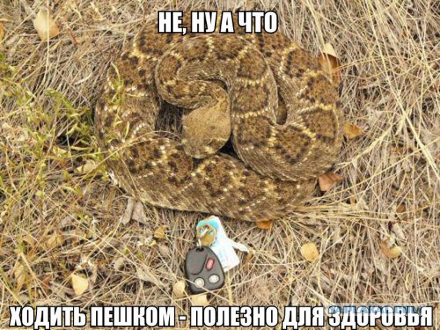 Позитивные картинки