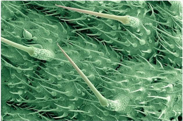 Бытовые предметы очень крупным планом