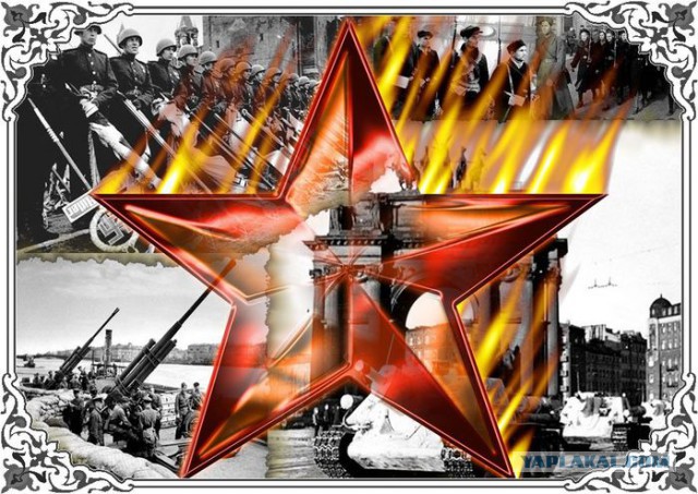 С 9 мая товарищи!