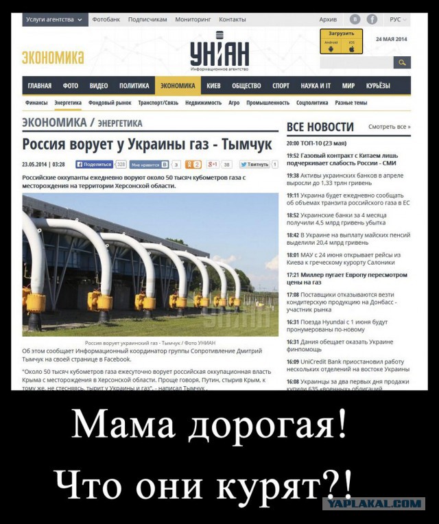 Бесславные ублюдки...