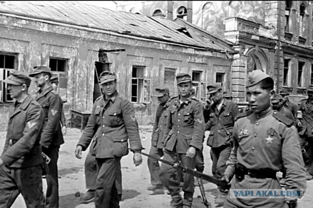 Фотографии войны 1941-1945 годов