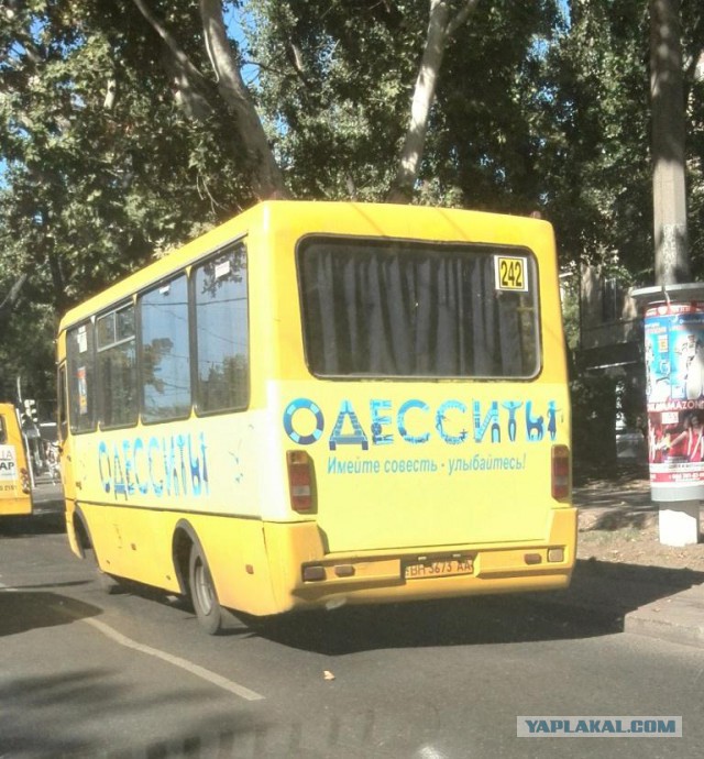 Весёлые картинки