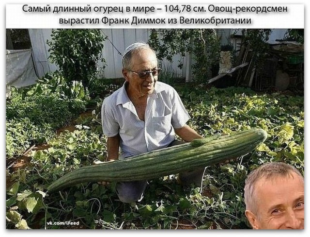 Адовые народные советы
