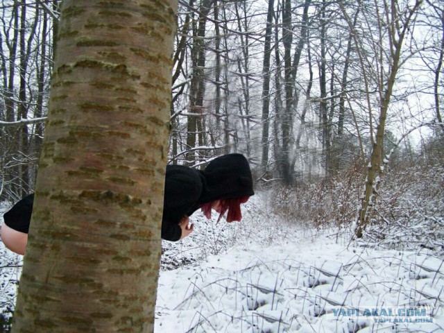 Отфотошопьте моё фото...
