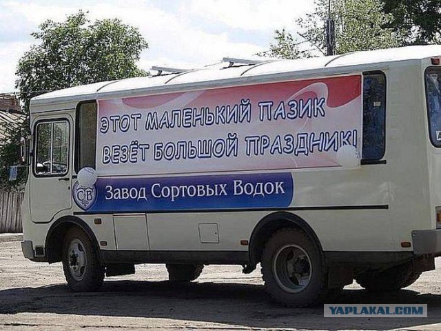 41 веселая картинка