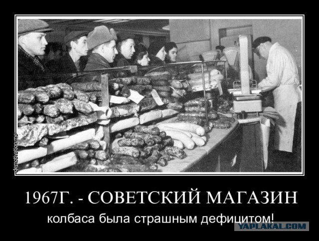 Жизнь в очередях